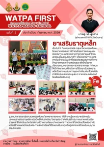 9.7.69 ธาตุเหล็ก
